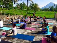 Yoga workshops and Special classes